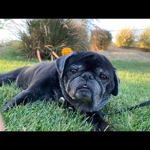 Meet your Posher, Ava